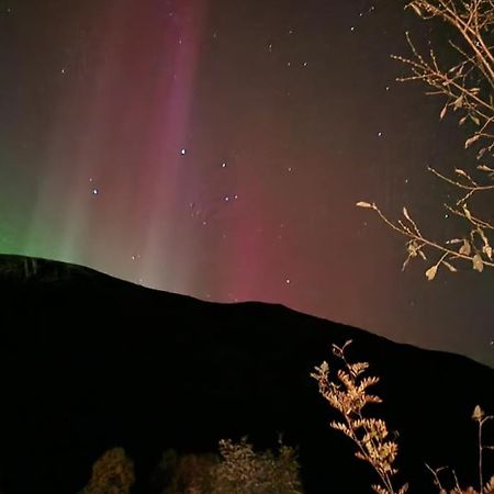 Pilan Lodge Lofoten Vestpollen Bagian luar foto