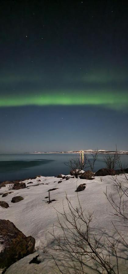 Pilan Lodge Lofoten Vestpollen Bagian luar foto