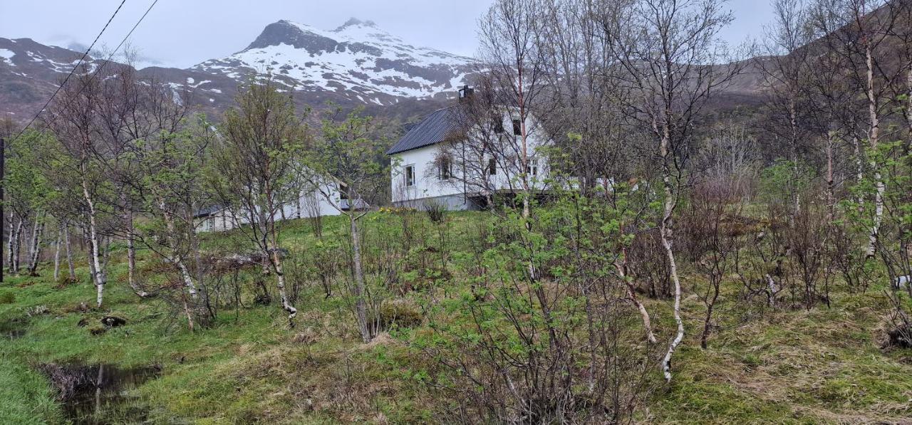 Pilan Lodge Lofoten Vestpollen Bagian luar foto