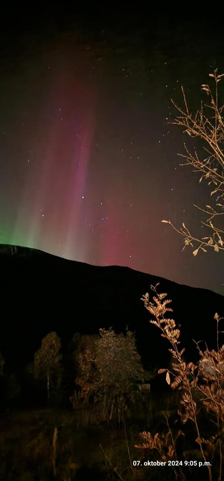 Pilan Lodge Lofoten Vestpollen Bagian luar foto