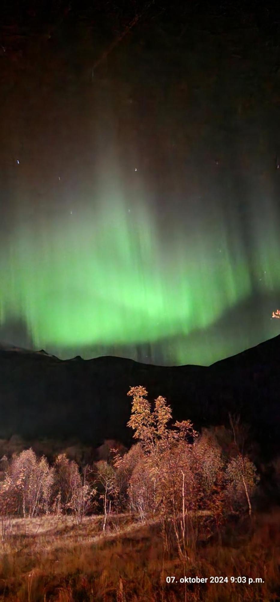 Pilan Lodge Lofoten Vestpollen Bagian luar foto