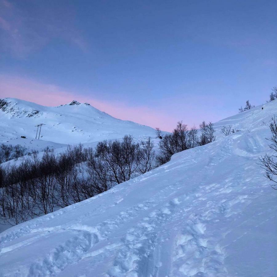 Pilan Lodge Lofoten Vestpollen Bagian luar foto