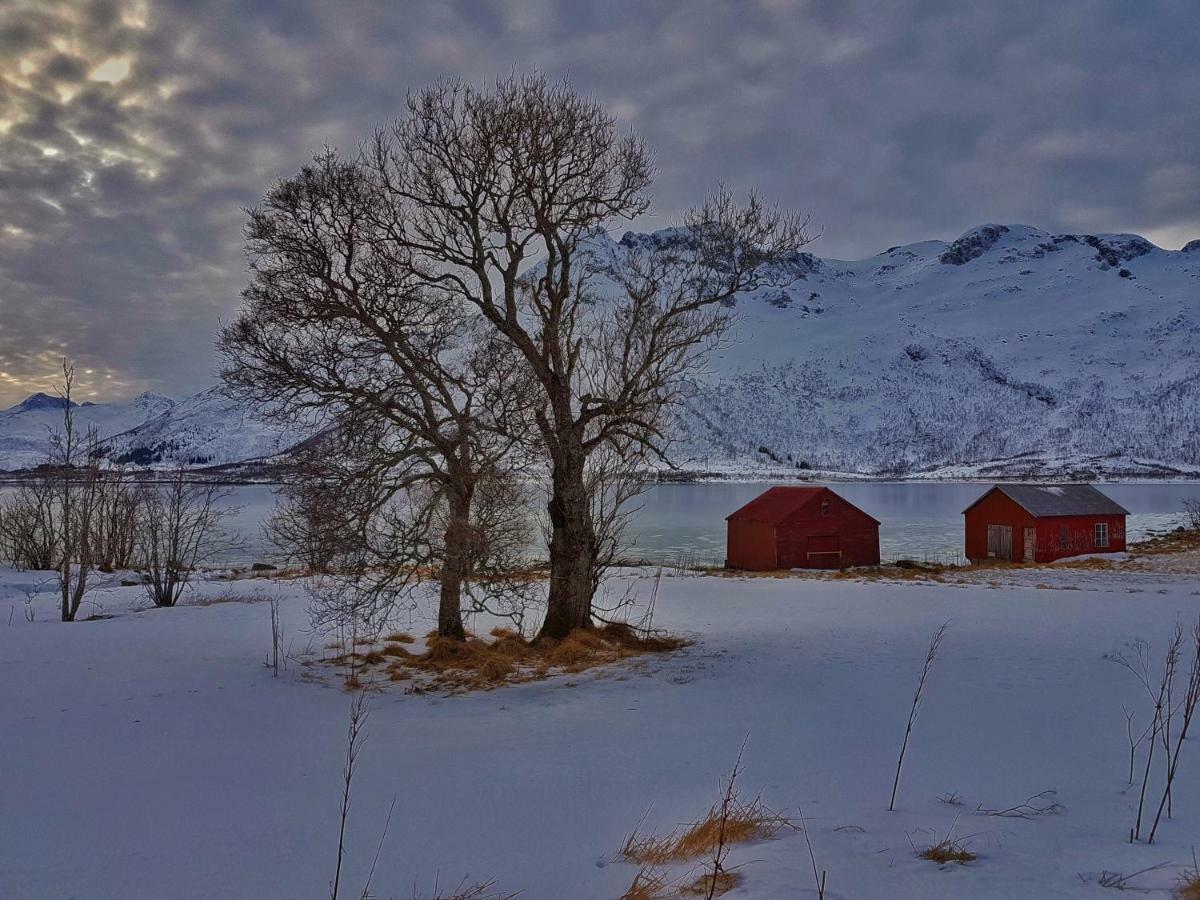 Pilan Lodge Lofoten Vestpollen Bagian luar foto