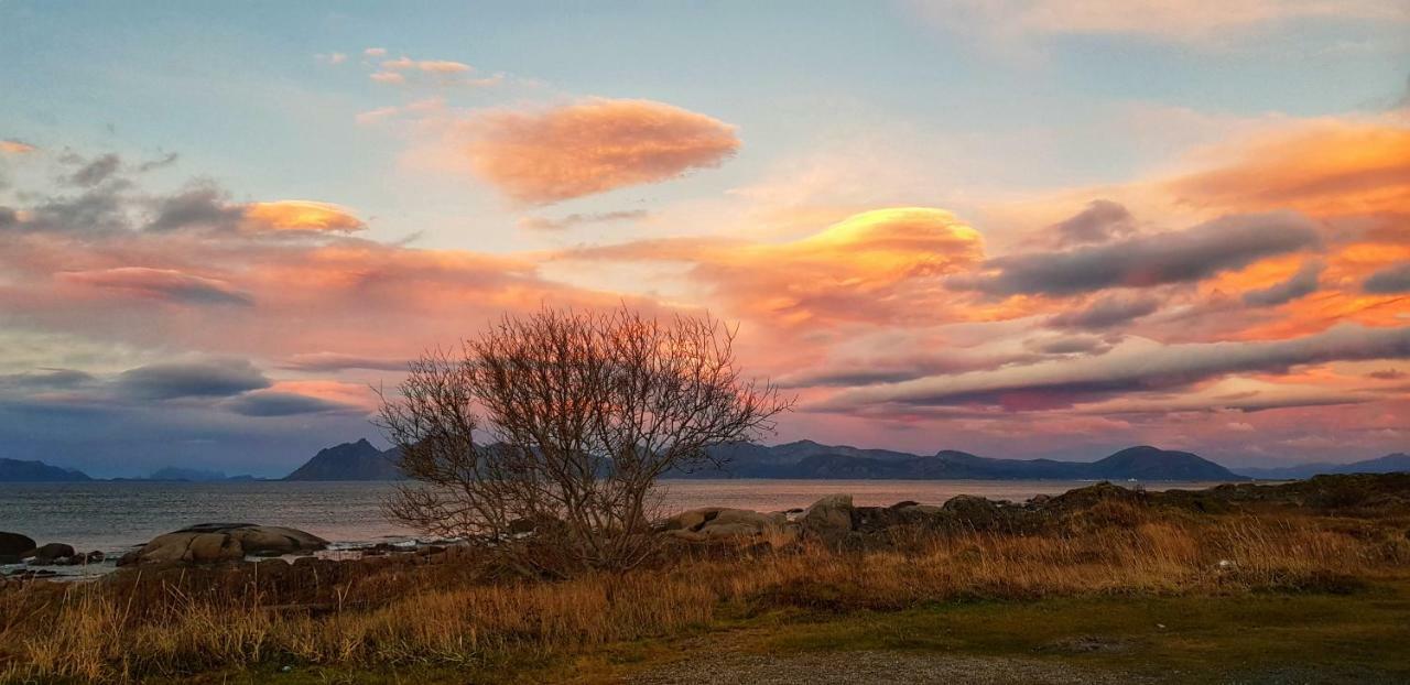 Pilan Lodge Lofoten Vestpollen Bagian luar foto