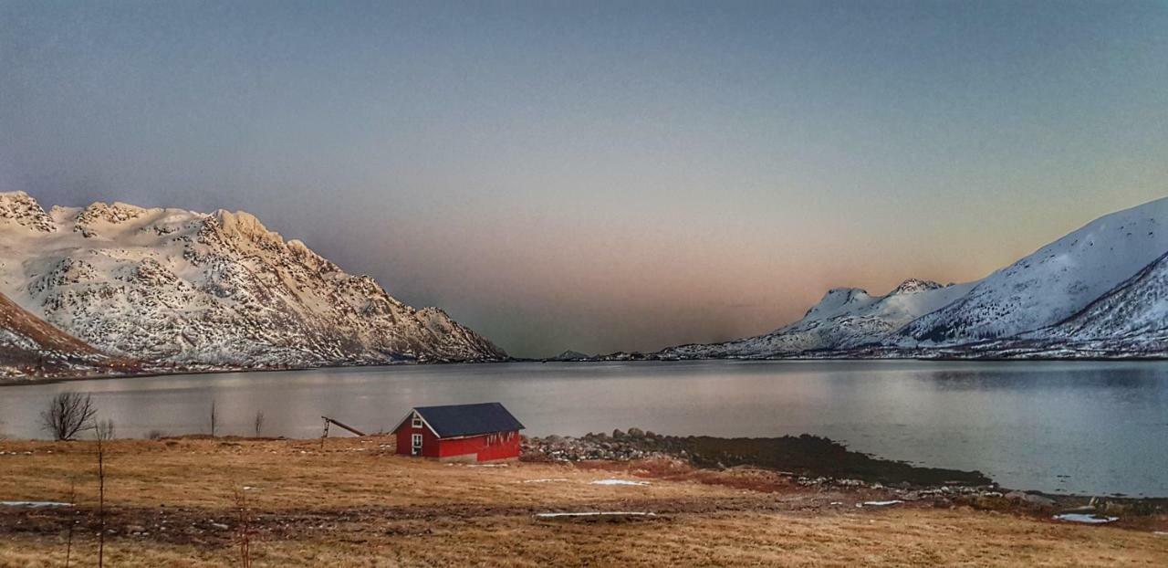 Pilan Lodge Lofoten Vestpollen Bagian luar foto